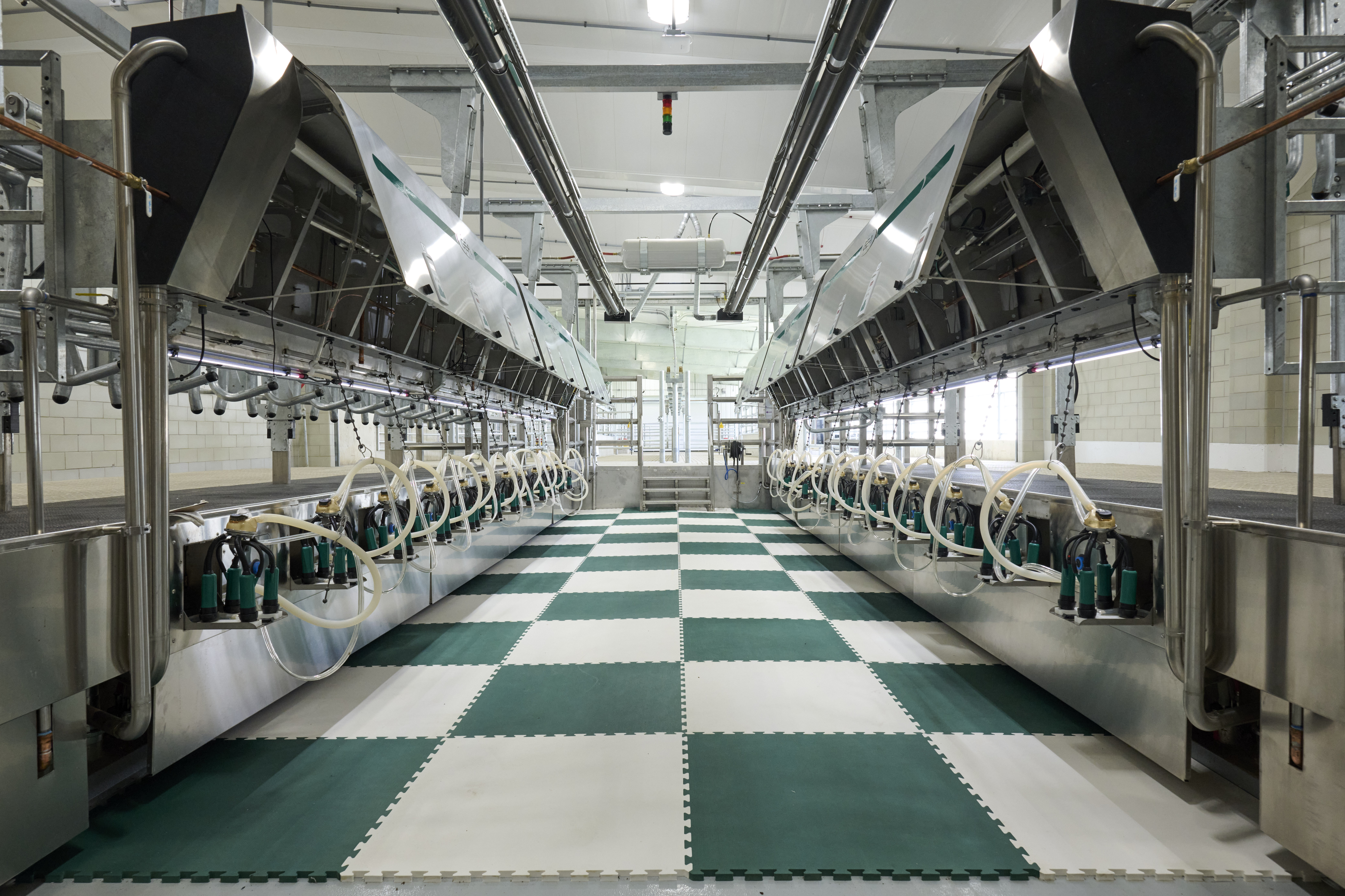 Dairy Facility Parlor.jpg